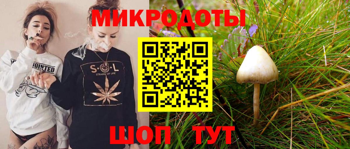Галлюциногенные грибы прущие грибы  Вход с VPN  где найти   Ялуторовск 